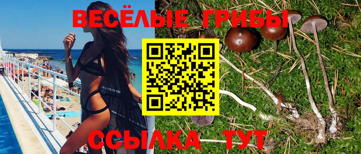 Псилоцибиновые грибы GOLDEN TEACHER Воскресенск