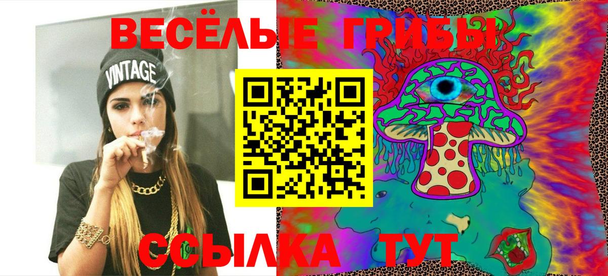 Воскресенск  Псилоцибиновые грибы GOLDEN TEACHER  что такое наркотик  Вход с VPN 